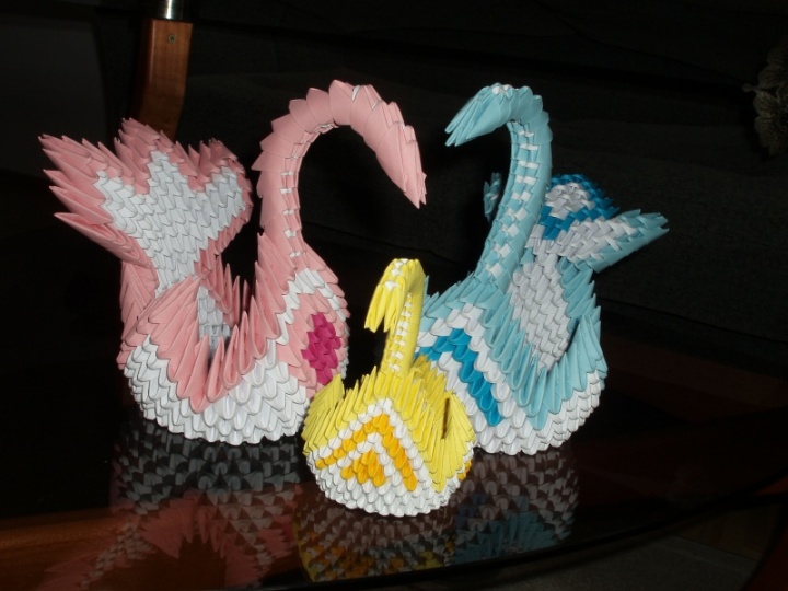 origami: spalvotos gulbės