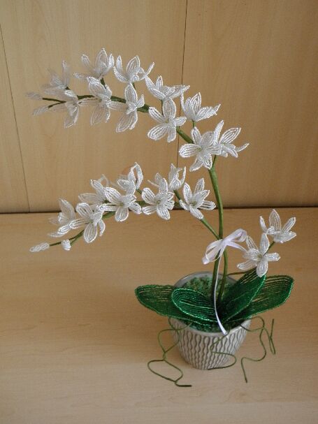 Smulkiaziede orchideja 43cm