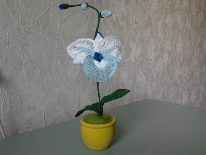 Gėlė orchidėja