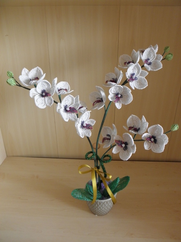 Karaliskoji orchideja5 (58x54cm)