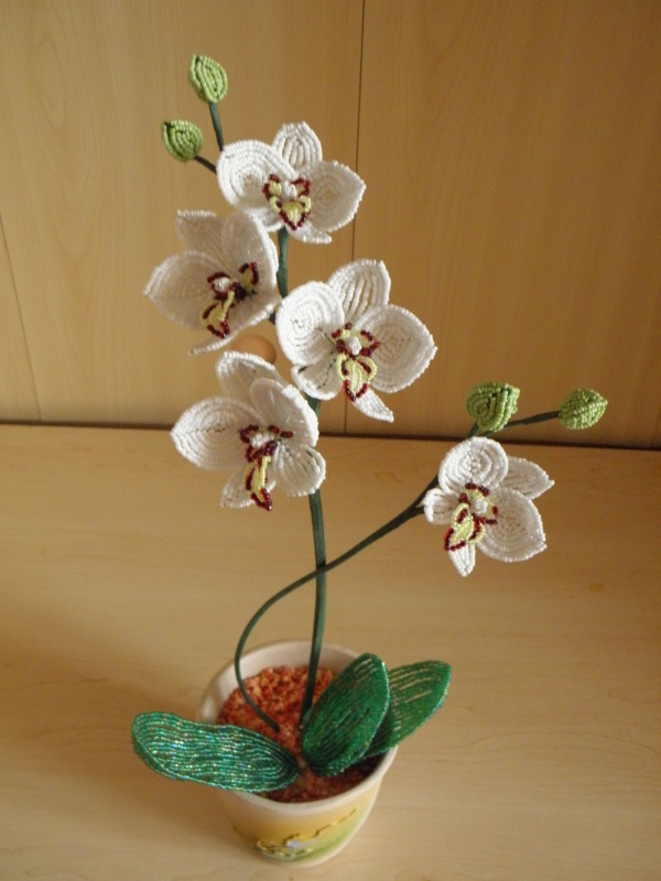 Orchideja "5 ziedai " 43cm