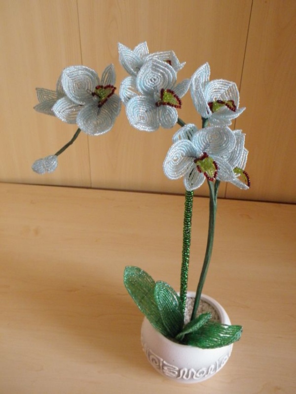 Orchideja "Ziema " 42cm