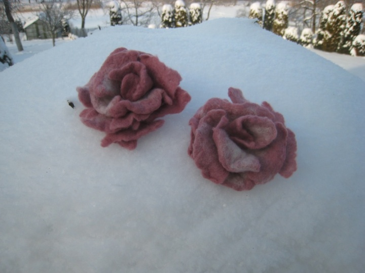 Rožės sniege