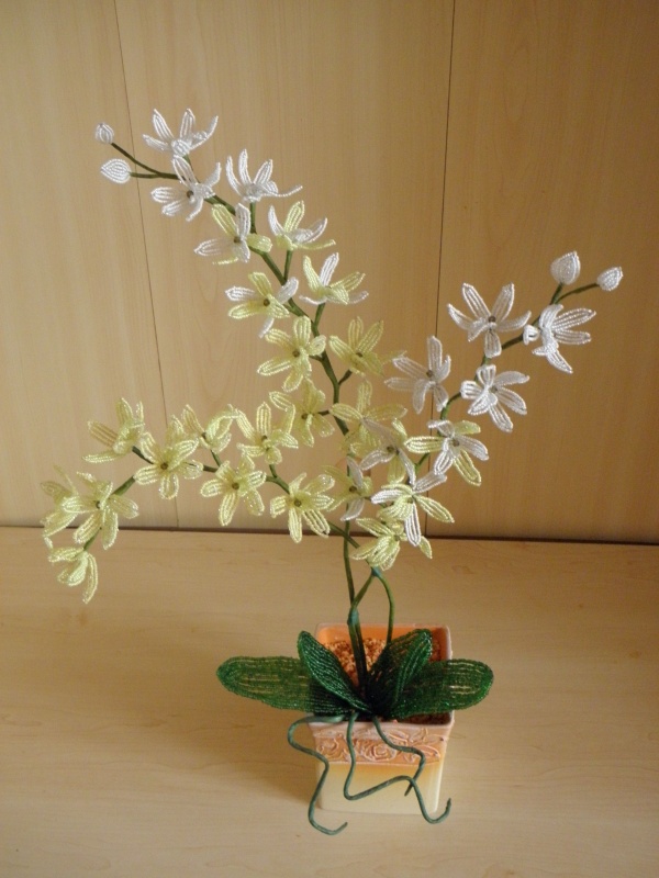 Smulkiaziede orchideja2 (54x38cm)