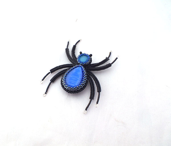 Mėlyna sagė - voras