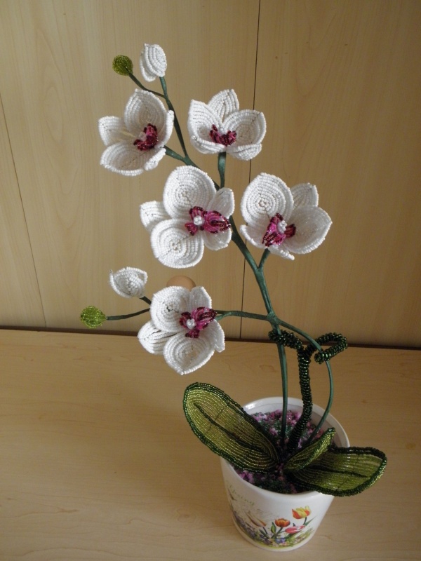 Orchideja "Vidmante " 41cm