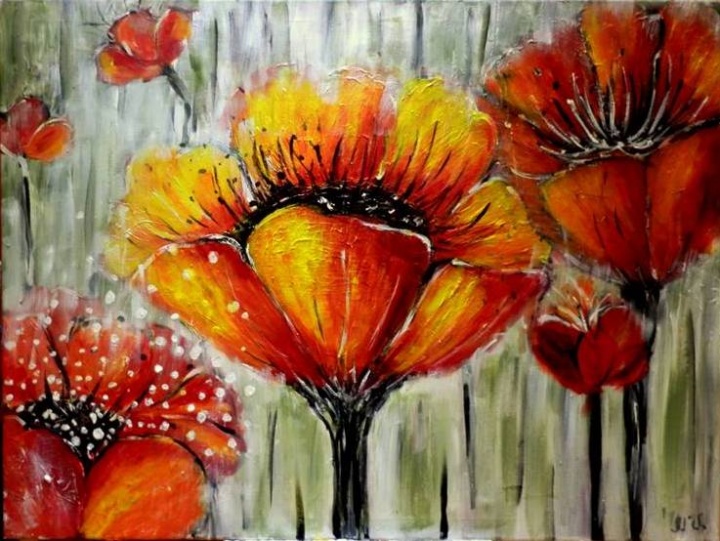 Aguonos 70x80