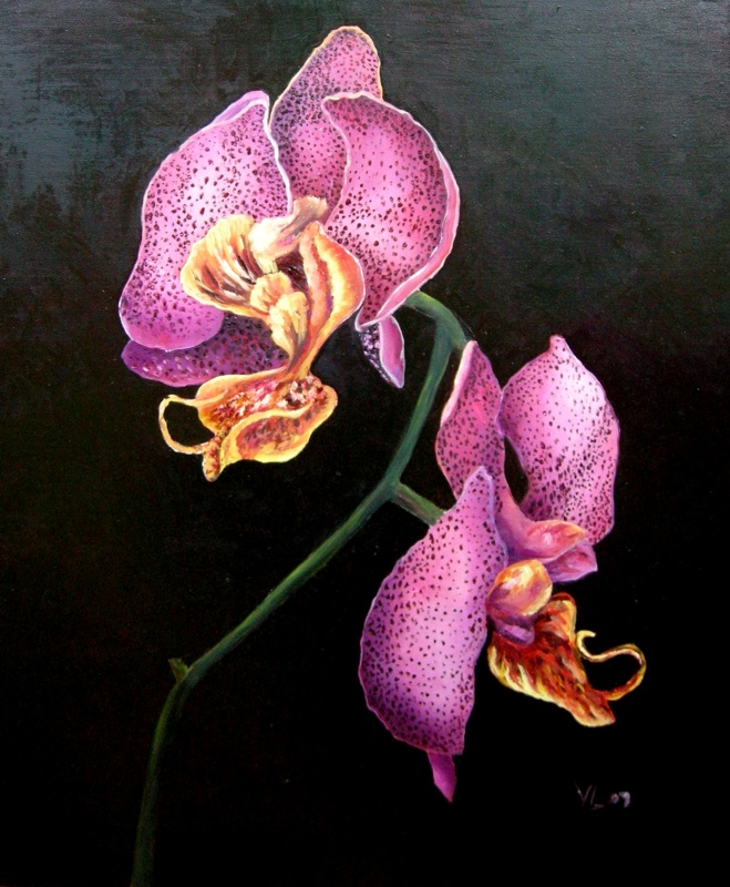 Orchidėja 50x60