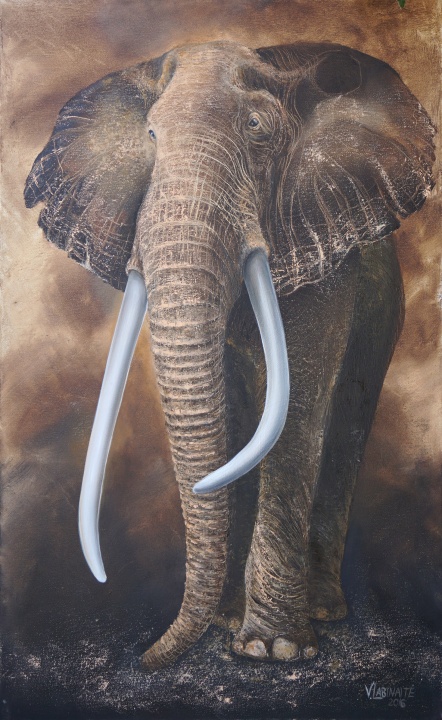 Afrikinis dramblys 60x90