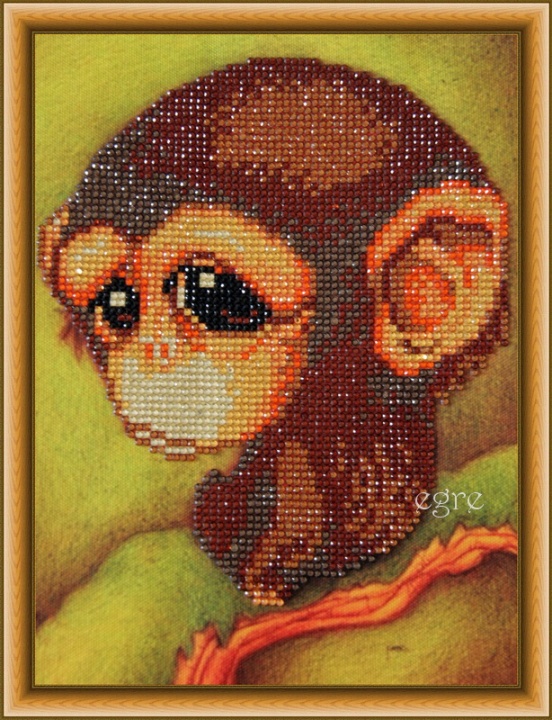 Monkey 2016