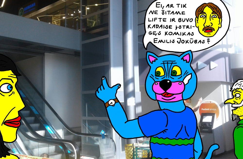 Batuotas Katinas parduotuvėje "Iki", Panevėžyje susimąstęs žvelgia į neįgaliųjų liftą