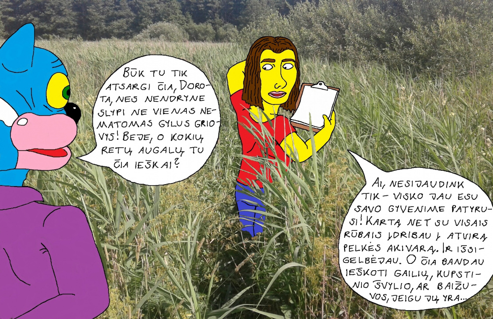 Botanikė Dorota Papyvesio slėnio nendryne braunasi gylyn, ieškodama retų augalų