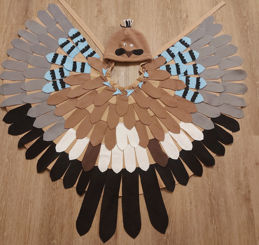 Kėkšto (paukščio) karnavalinis kostiumas vaikams