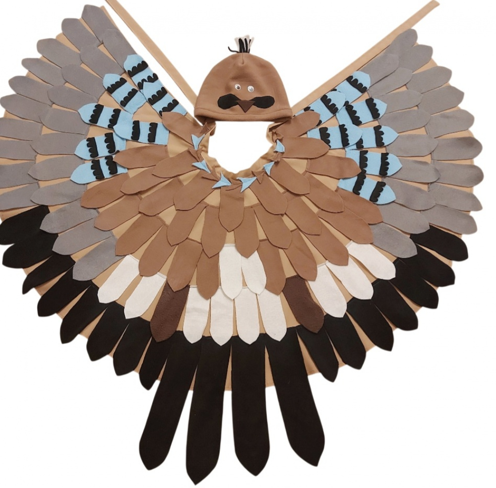 Kėkšto (paukščio) karnavalinis kostiumas vaikams