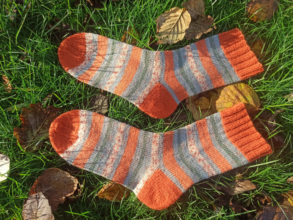 Rudens spalvų kojinės