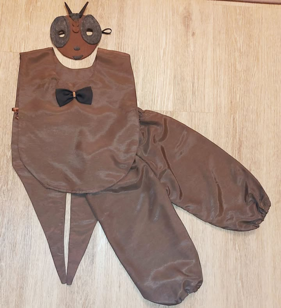 Vabalo, vabaliuko, karkvabalio kostiumas vaikams