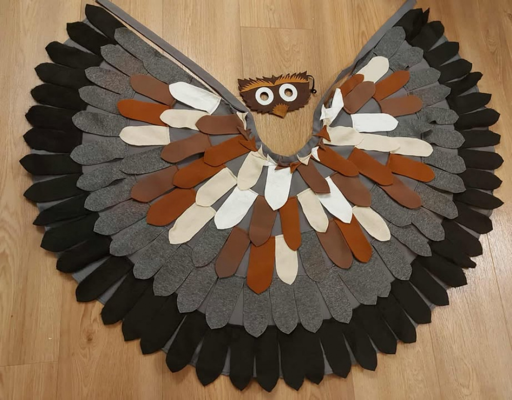 Vaikiškas pelėdos, pelėdžiuko, apuoko karnavalinis kostiumas