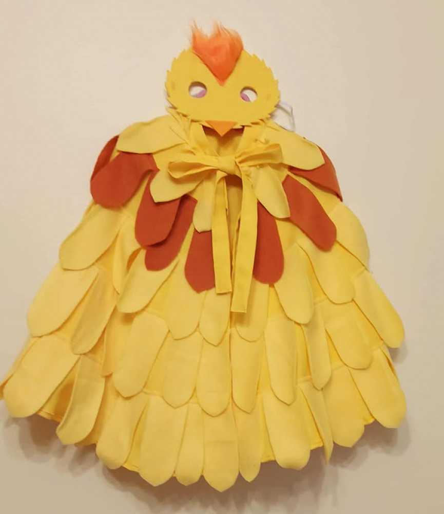 Viščiuko, ančiuko karnavalinis kostiumas vaikams