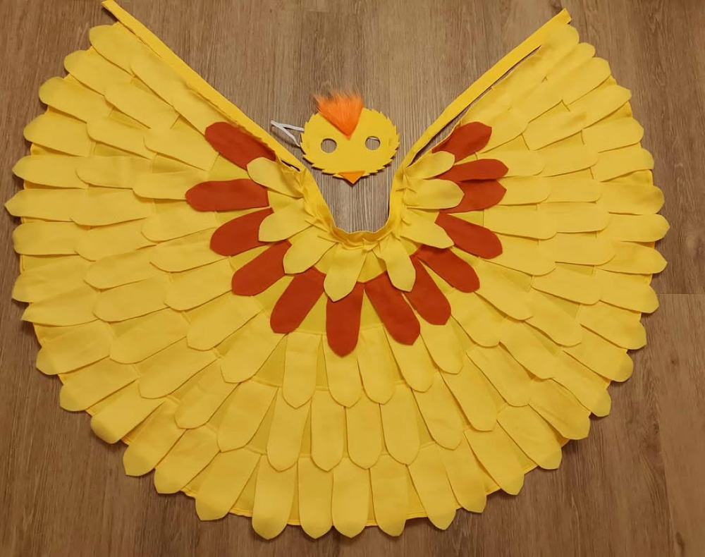 Viščiuko, ančiuko karnavalinis kostiumas vaikams