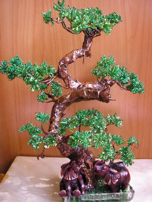 bonsai