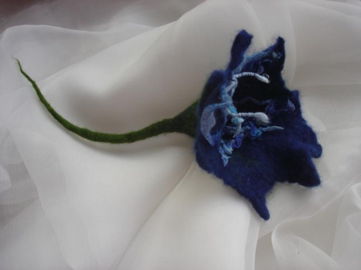Mėlynoji gėlelė