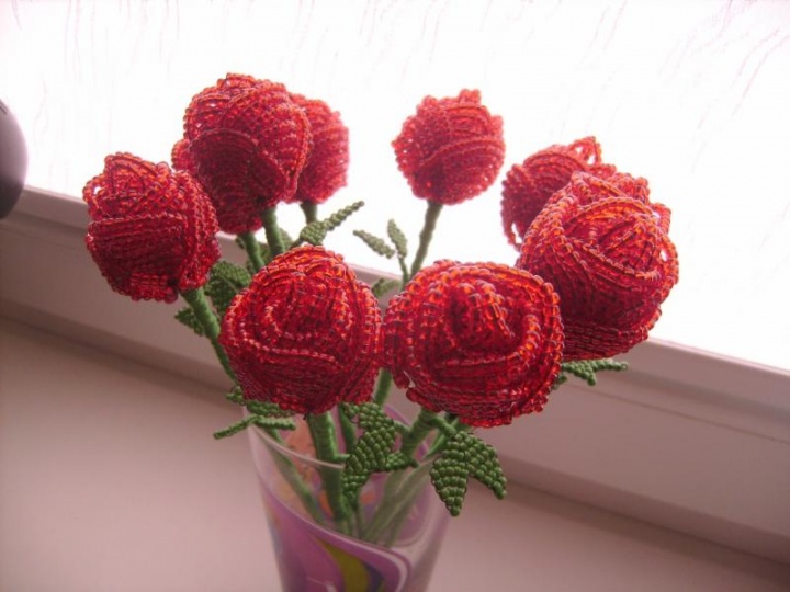 Raudonos rozes