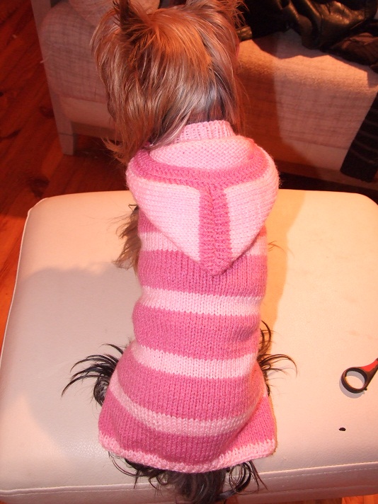 Dryzuotas megztinukas