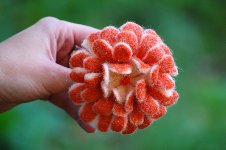 Oranžinė gėlė