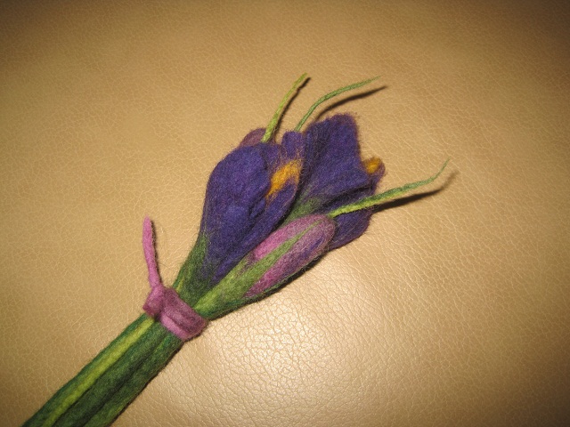 Irisų puokštelė