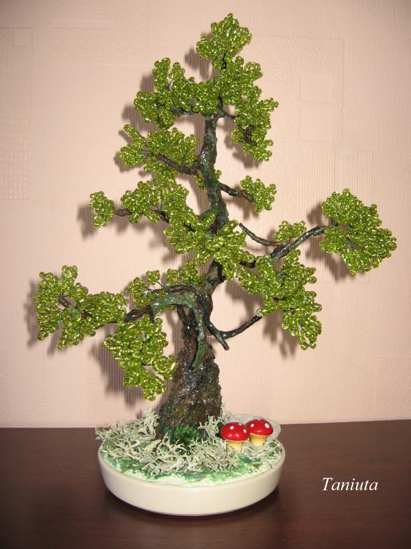 Bonsai.