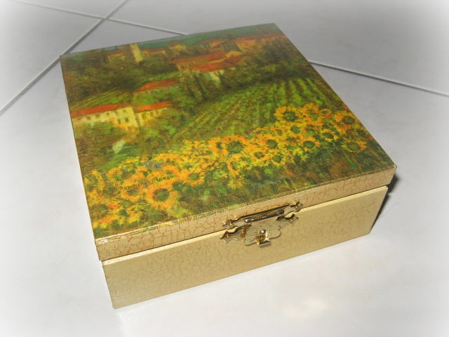 dėžutė Saulėgražų laukas